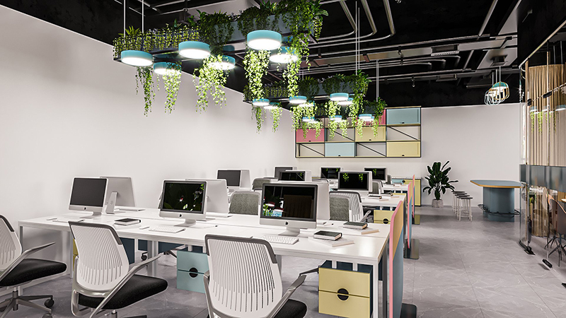 Mẫu 21: Thiết kế văn phòng trang trí cây xanh treo trần tối ưu diện tích