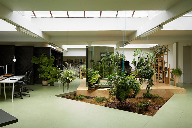 Thiết kế văn phòng làm việc công sở với không gian cây xanh gần gũi thiên nhiên