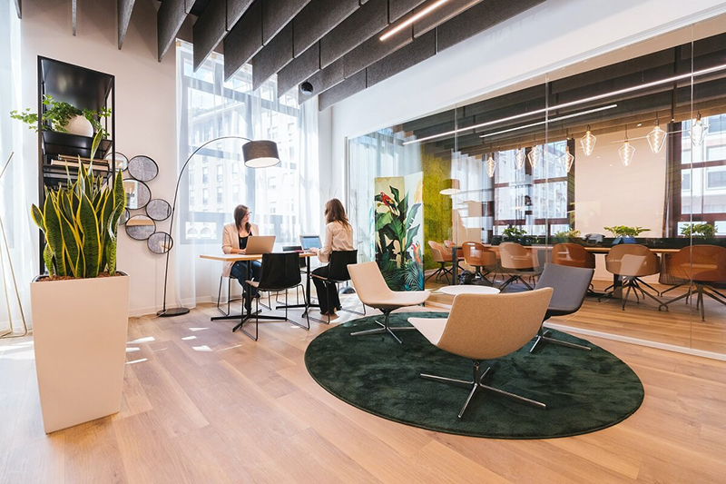 Thiết kế văn phòng xanh với sự kết hợp màu sắc, ánh sáng nhẹ nhàng