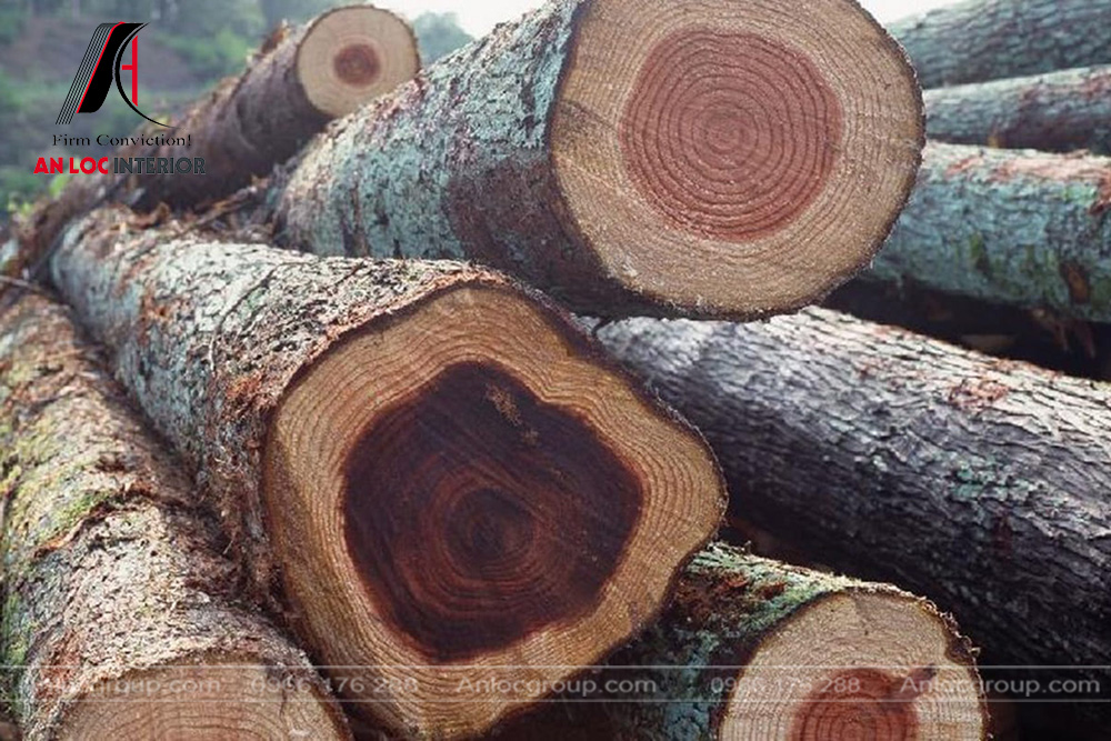 Các loại gỗ tự nhiên quý hiếm