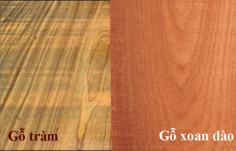 So sánh gỗ Tràm và Xoan Đào