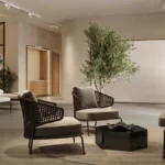 Thiết kế showroom nội thất mở kết hợp không gian xanh